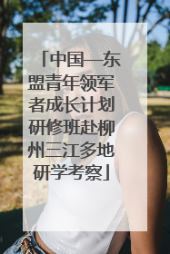 中国—东盟青年领军者成长计划研修班赴柳州三江多地研学考察